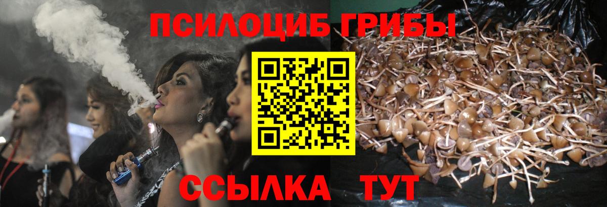 цена   Вход с VPN  Подольск  Галлюциногенные грибы GOLDEN TEACHER 